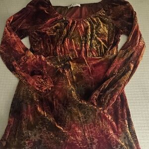 Velvet Floral Long Sleeve Dress